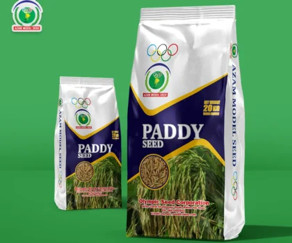 paddy