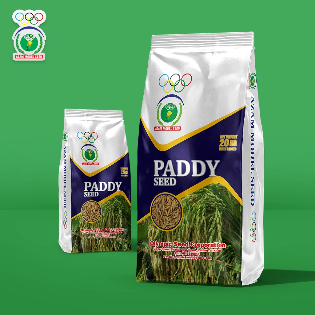 paddy