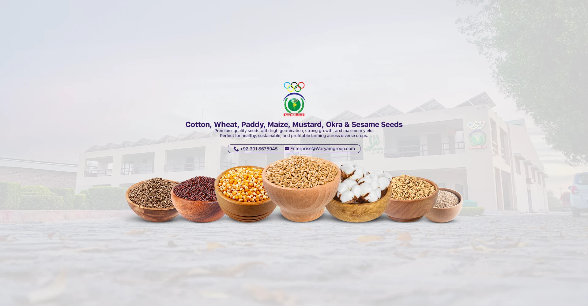 Olympic Seed Corporation