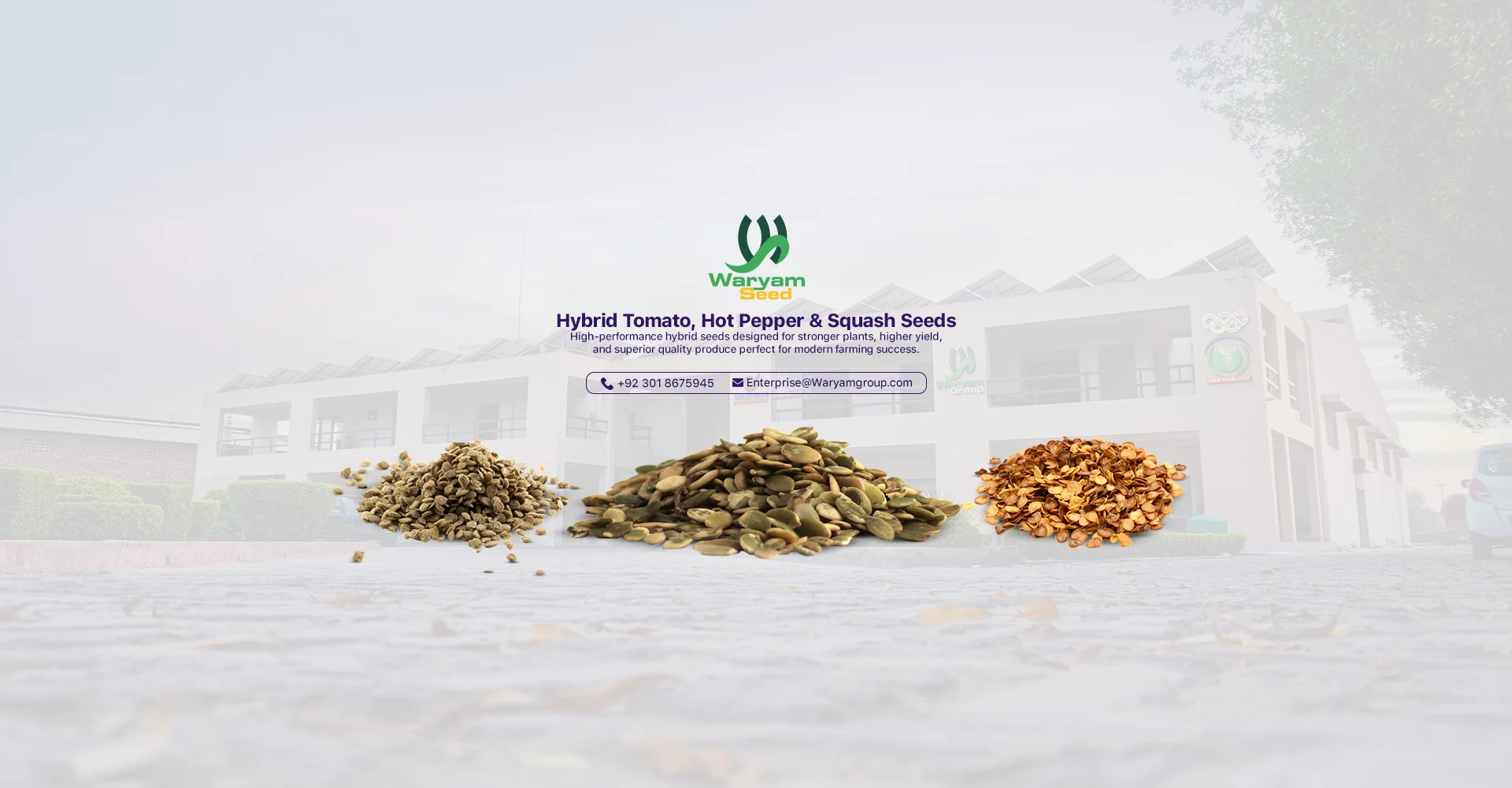 Olympic Seed Corporation